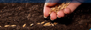 I'm a Seed Grower / Je suis un producteur de semences