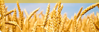 I'm a Farmer/Retailer / Je suis un agriculteurs/détaillants