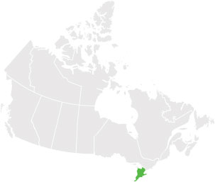South Ontario