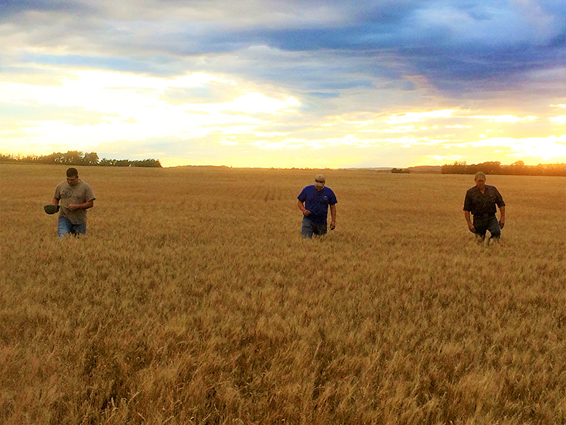 walking_the_field