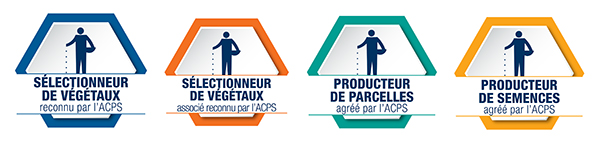French badge banner