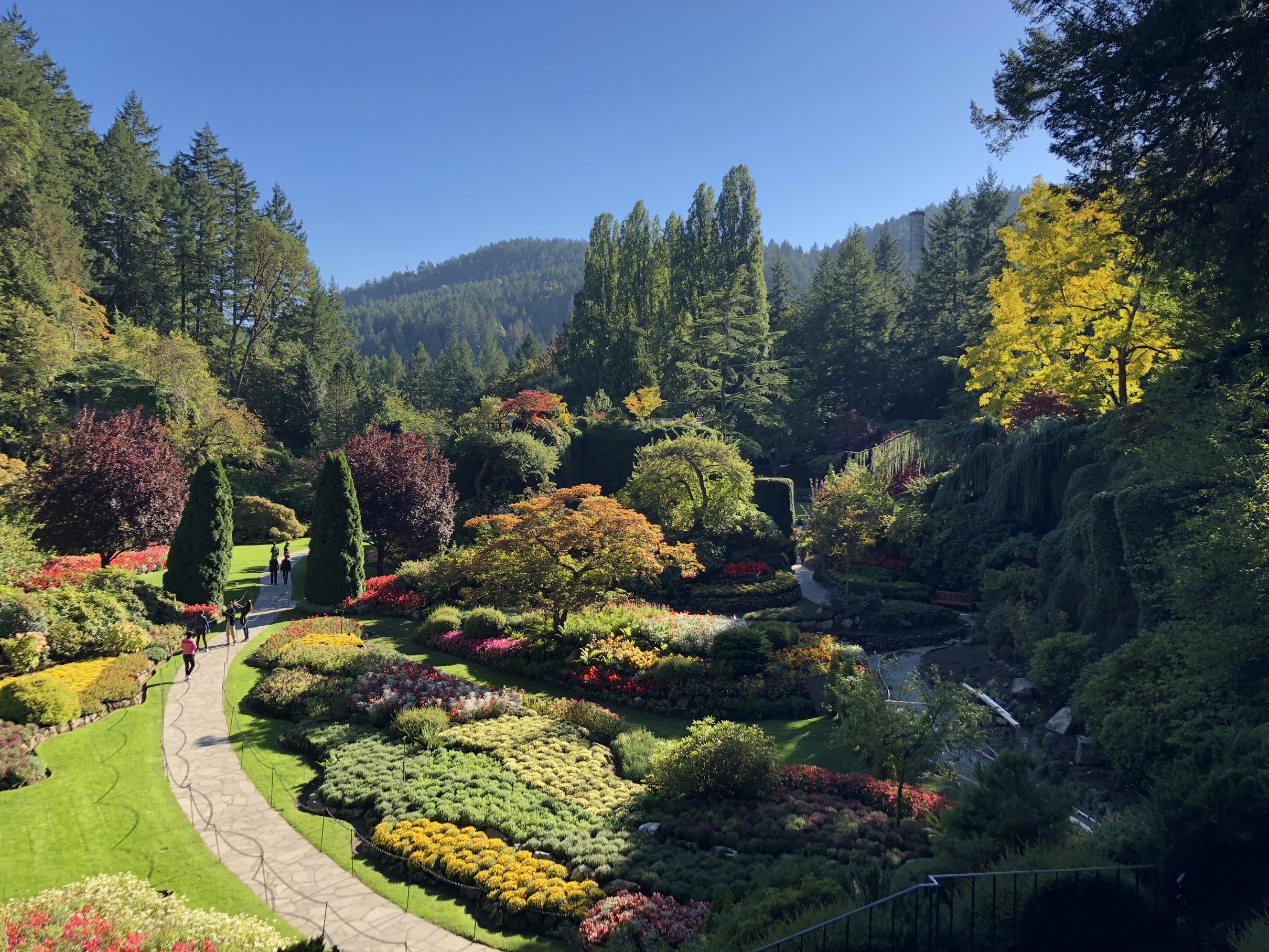 Butchart Gardens